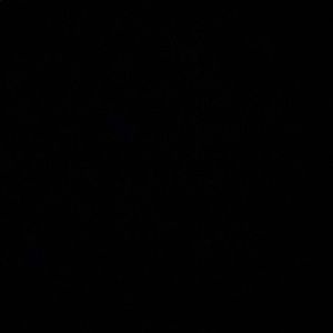 Meet your Posher, Emoni